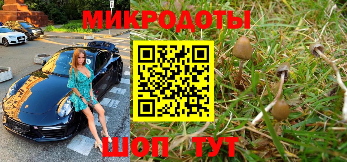 Кингисепп  Галлюциногенные грибы ЛСД  Псилоцибиновые грибы мухоморы  Вход с VPN 