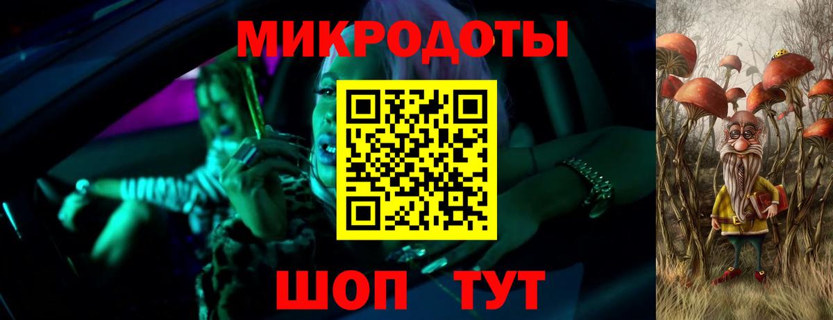 Галлюциногенные грибы Cubensis Кингисепп